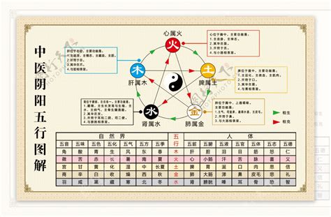 宗 五行|宗的解释